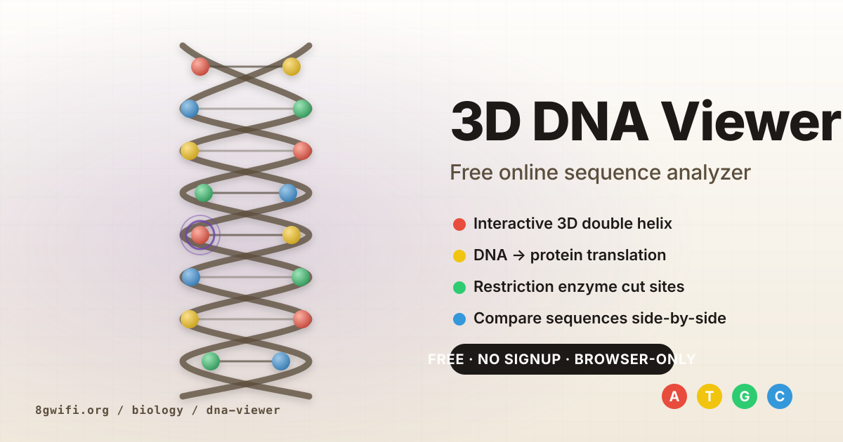 3D DNA Viewer — Free Online Sequence Analyz... | 8gwifi.org